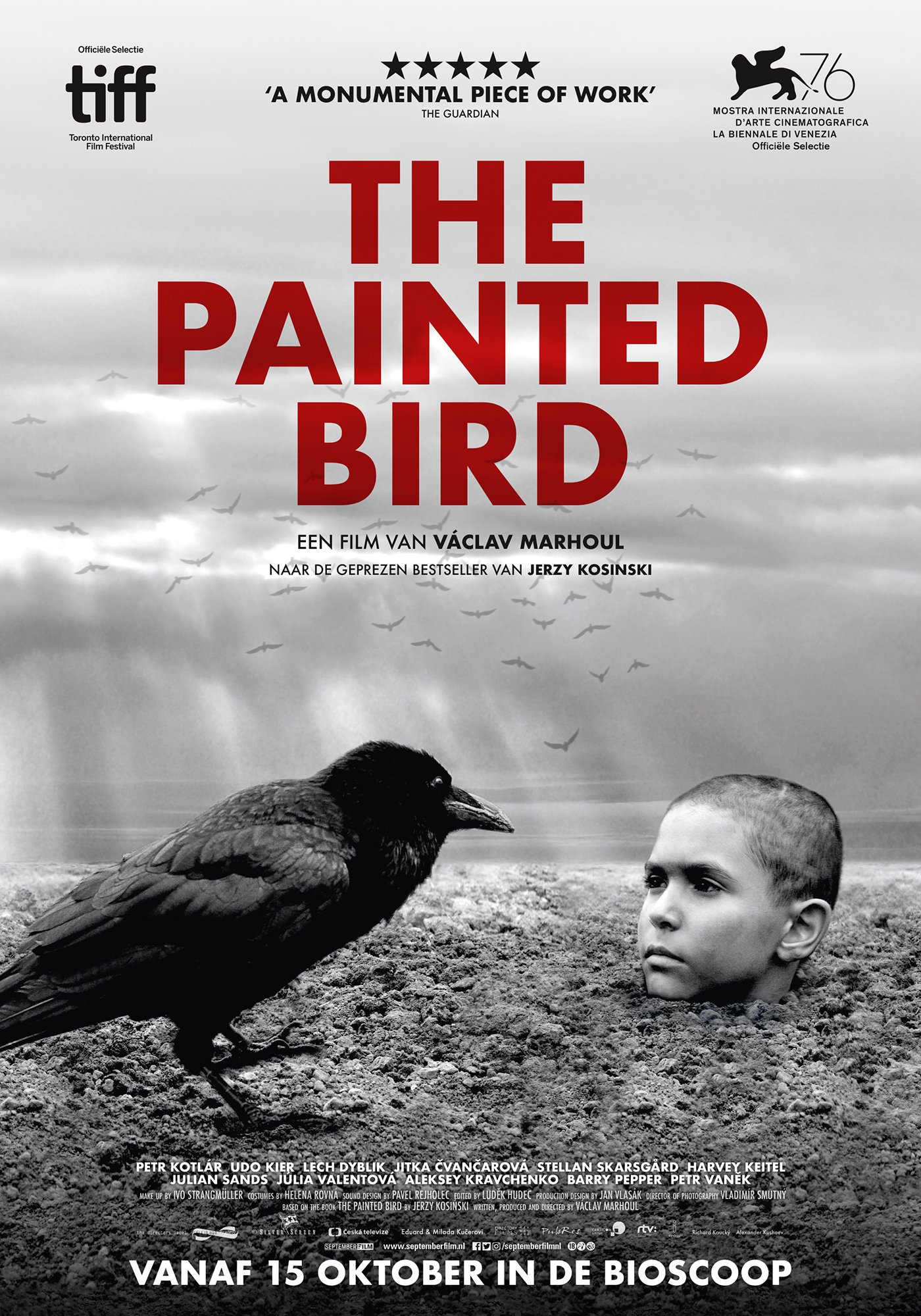 постер Раскрашенная птица
